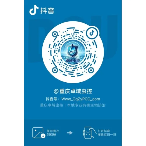 抖音二维码