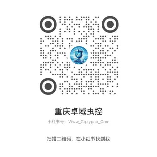 小红书二维码
