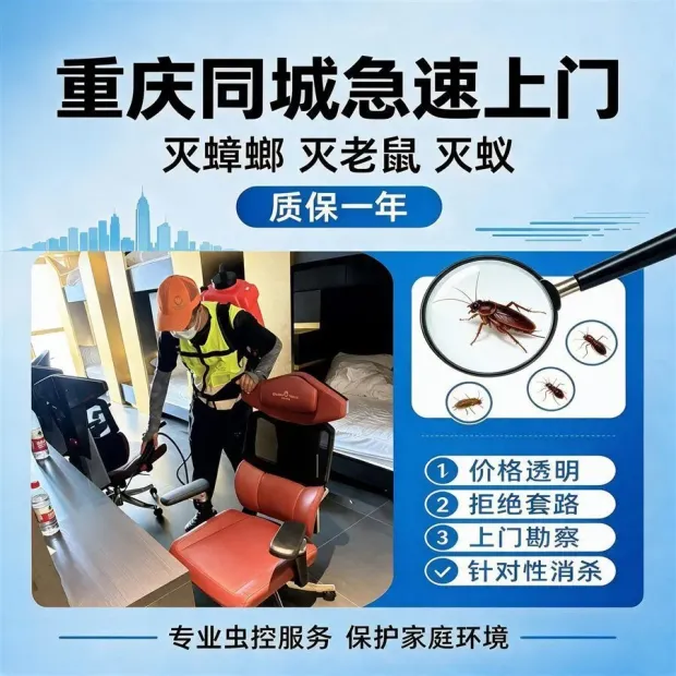 灭蟑灭鼠 · 极速上门